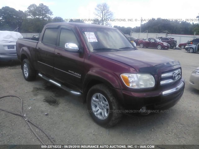 5TBET34186S547064 - 2006 TOYOTA TUNDRA DOUBLE CAB SR5 BURGUNDY photo 1