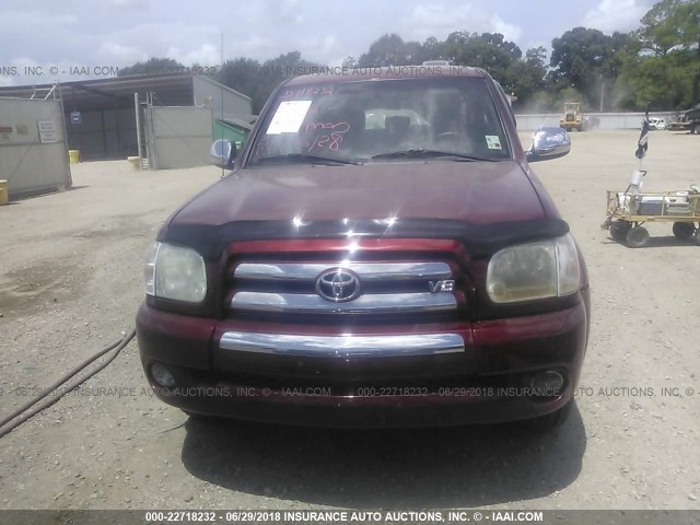5TBET34186S547064 - 2006 TOYOTA TUNDRA DOUBLE CAB SR5 BURGUNDY photo 6
