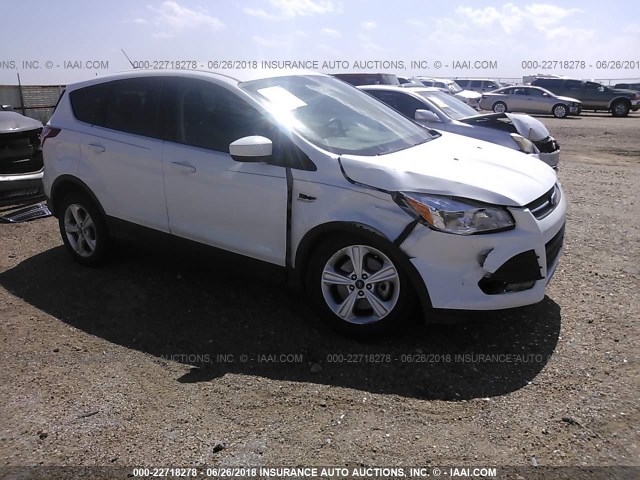 1FMCU9GX1EUA85323 - 2014 FORD ESCAPE SE WHITE photo 1