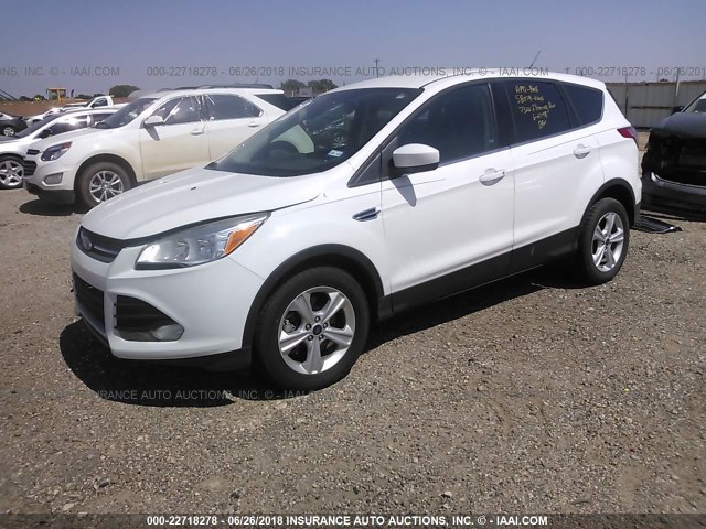 1FMCU9GX1EUA85323 - 2014 FORD ESCAPE SE WHITE photo 2