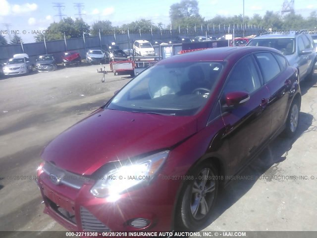 1FADP3K28DL241540 - 2013 FORD FOCUS SE MAROON photo 2