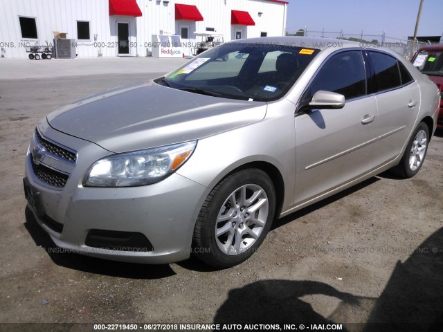 1G11C5SA8DF340460 - 2013 CHEVROLET MALIBU 1LT 棕色 照片 2