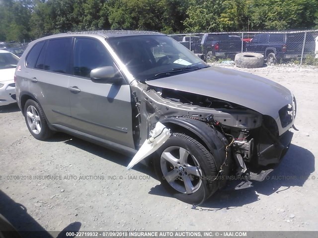 5UXFE4C54AL380162 - 2010 BMW X5 XDRIVE30I TAN photo 1