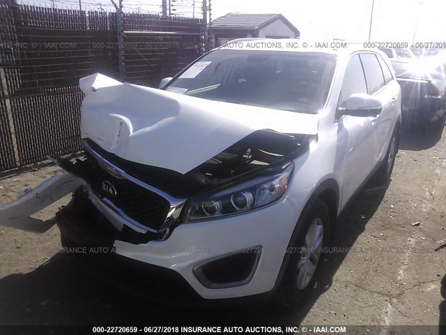 5XYPG4A31GG032325 - 2016 KIA SORENTO LX/L WHITE photo 2