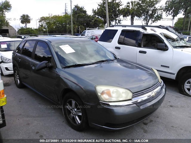1G1ZT628X5F179245 - 2005 CHEVROLET MALIBU MAXX LS GRAY photo 1