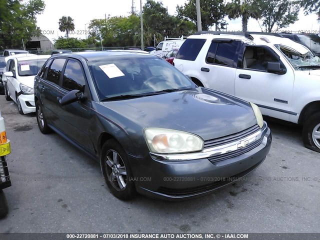 1G1ZT628X5F179245 - 2005 CHEVROLET MALIBU MAXX LS GRAY photo 6