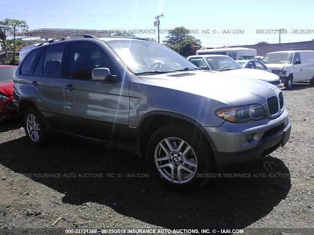 5UXFA13575LY14428 - 2005 BMW X5 3.0I GRAY photo 1