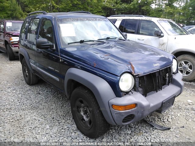 1J8GL48K33W530587 - 2003 JEEP LIBERTY SPORT/FREEDOM ლურჯი ფოტო 1