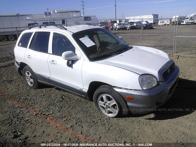 KM8SC73D54U721447 - 2004 HYUNDAI SANTA FE GLS/LX WHITE photo 1