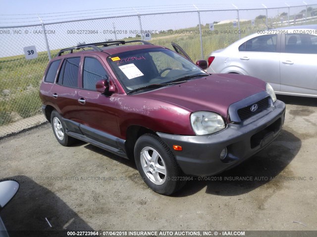 KM8SC73E04U794329 - 2004 HYUNDAI SANTA FE GLS/LX PURPLE photo 1