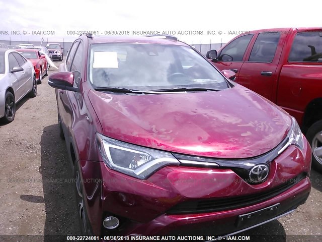 2T3RFREV4JW725094 - 2018 TOYOTA RAV4 ADVENTURE/XLE MAROON photo 6