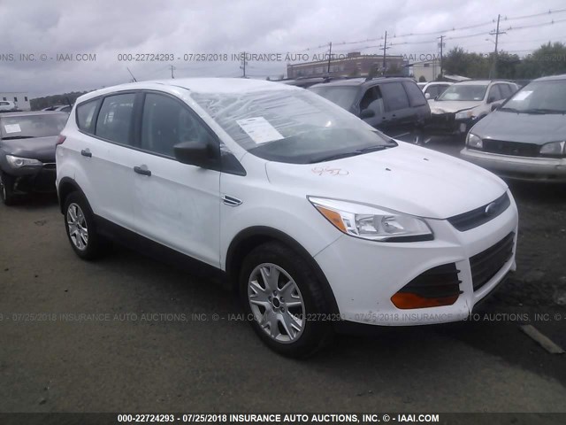 1FMCU0F75EUC86185 - 2014 FORD ESCAPE S WHITE photo 1