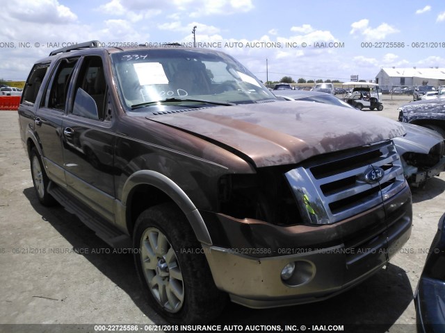 1FMJU1H57BEF12922 - 2011 FORD EXPEDITION XLT/KING RANCH BROWN photo 1