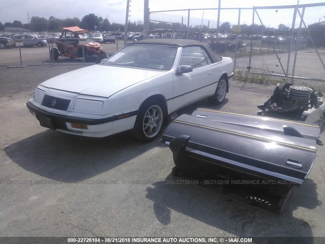 1C3XJ45K8MG164367 - 1991 CHRYSLER LEBARON WHITE photo 2