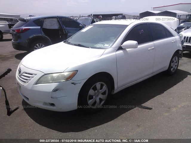 4T4BE46K09R135965 - 2009 TOYOTA CAMRY SE/LE/XLE თეთრი ფოტო 2