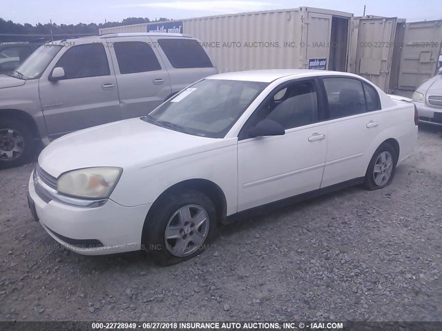 1G1ZT528X5F262345 - 2005 CHEVROLET MALIBU LS 白色 照片 2