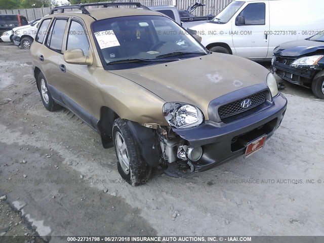 KM8SC13D12U264579 - 2002 HYUNDAI SANTA FE GLS/LX GOLD photo 6