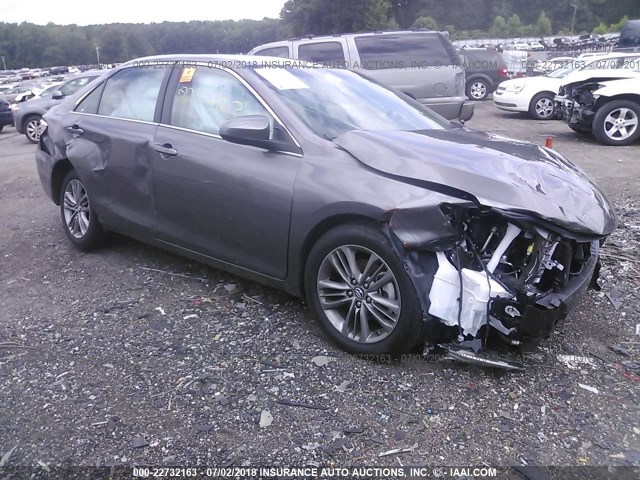 4T1BF1FK7HU791245 - 2017 TOYOTA CAMRY LE/XLE/SE/XSE GRAY photo 1