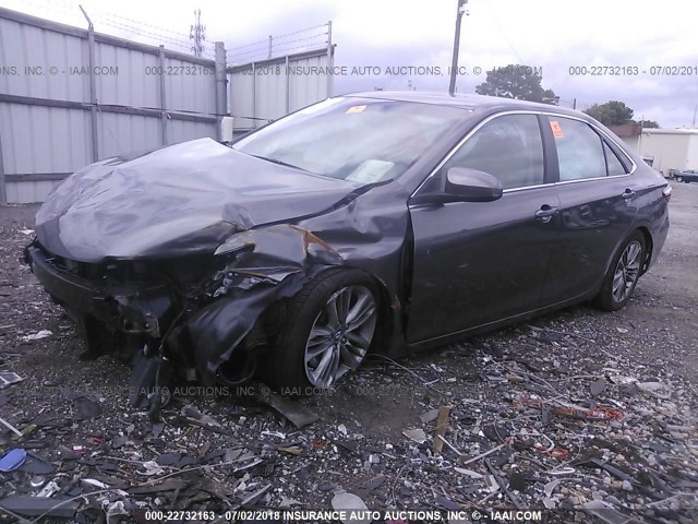 4T1BF1FK7HU791245 - 2017 TOYOTA CAMRY LE/XLE/SE/XSE GRAY photo 2