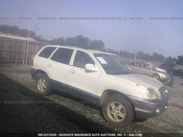 KM8SC13D93U345749 - 2003 HYUNDAI SANTA FE GLS/LX WHITE photo 1