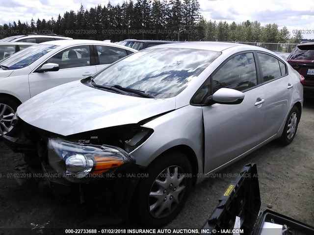 KNAFK4A6XE5056596 - 2014 KIA FORTE LX SILVER photo 2