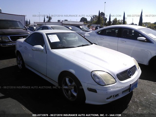 WDBKK65F41F189638 - 2001 MERCEDES-BENZ SLK 320 WHITE photo 1