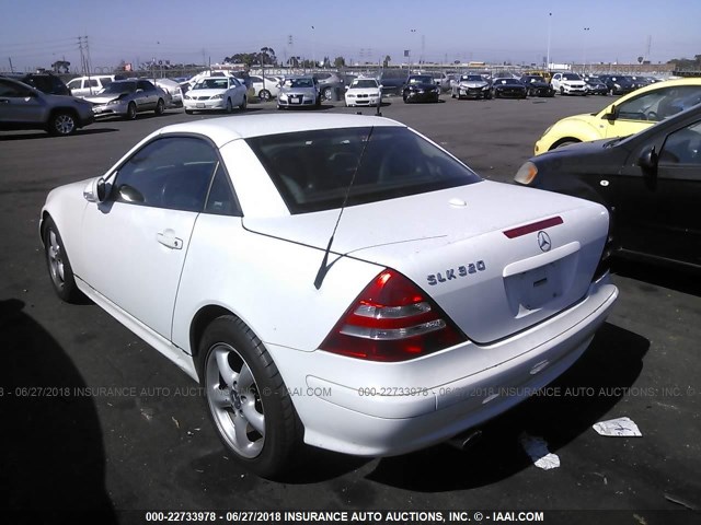 WDBKK65F41F189638 - 2001 MERCEDES-BENZ SLK 320 WHITE photo 3