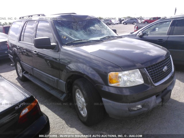1FMPU15546LA25791 - 2006 FORD EXPEDITION XLT Pewter photo 1