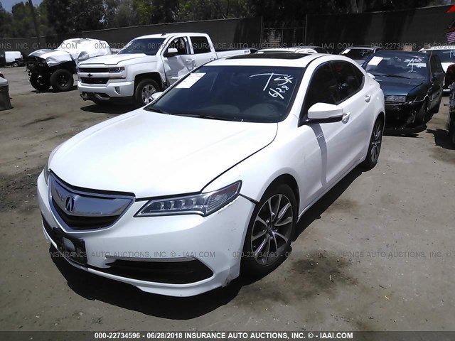 19UUB2F31FA019928 - 2015 ACURA TLX WHITE photo 2