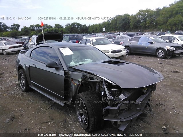 1FAFP42R24F164822 - 2004 FORD MUSTANG MACH I GRAY photo 1
