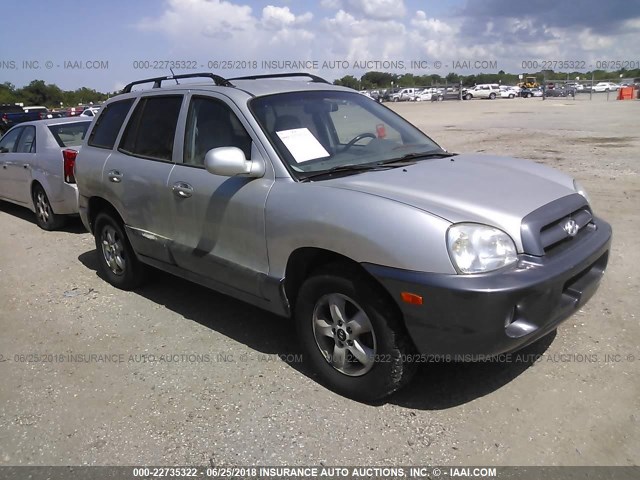 KM8SC73D65U870791 - 2005 HYUNDAI SANTA FE GLS/LX GRAY photo 1