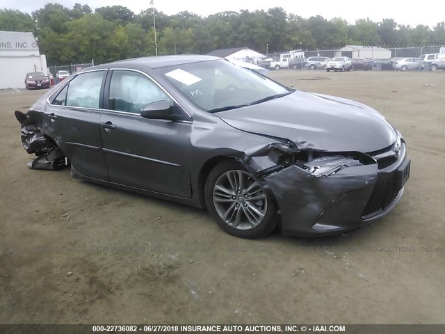 4T1BF1FKXHU730598 - 2017 TOYOTA CAMRY LE/XLE/SE/XSE GRAY photo 1