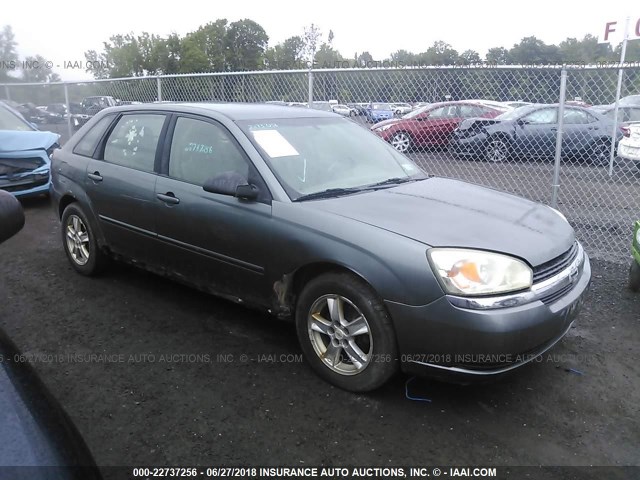 1G1ZT62815F264488 - 2005 CHEVROLET MALIBU MAXX LS GRAY photo 1