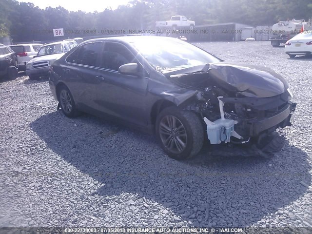 4T1BF1FK3GU572507 - 2016 TOYOTA CAMRY LE/XLE/SE/XSE GRAY photo 1