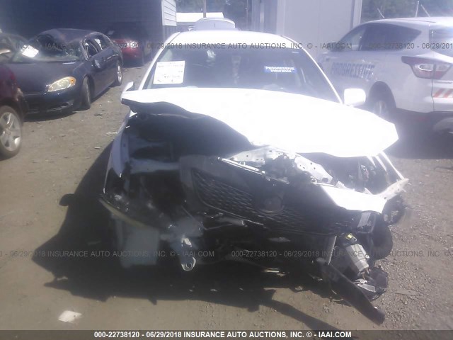 2T1BU4EEXAC301360 - 2010 TOYOTA COROLLA S/LE/XLE WHITE photo 6