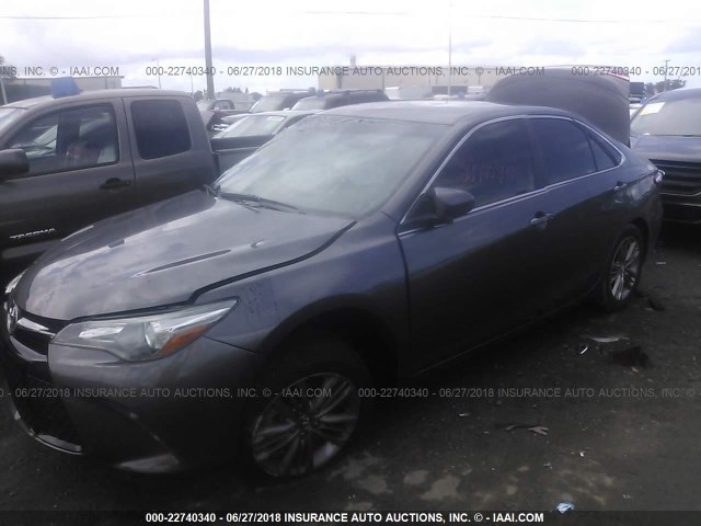 4T1BF1FK6GU223390 - 2016 TOYOTA CAMRY LE/XLE/SE/XSE GRAY photo 2