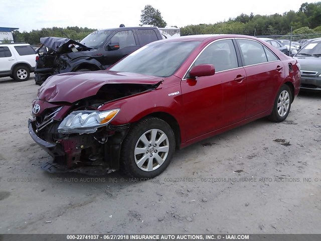 4T1BB46K77U002300 - 2007 TOYOTA CAMRY NEW GENERAT HYBRID RED photo 2