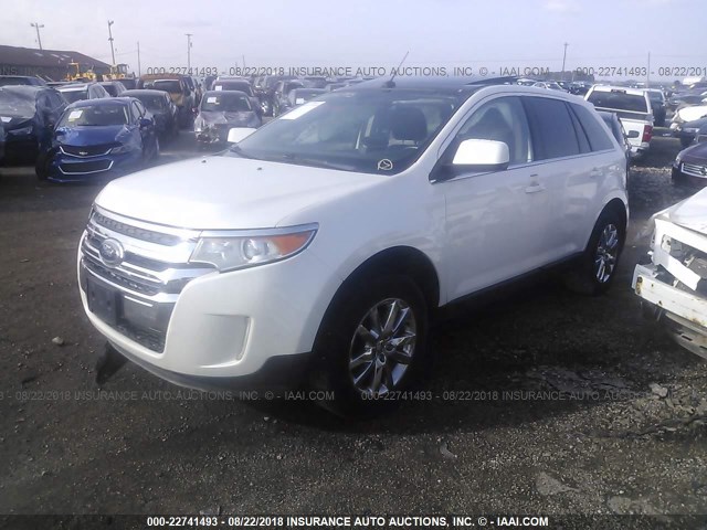 2FMDK4KC7BBA54631 - 2011 FORD EDGE LIMITED WHITE photo 2