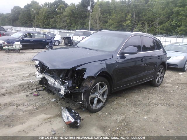 WA1WGAFP5DA034560 - 2013 AUDI Q5 PRESTIGE BLUE photo 2