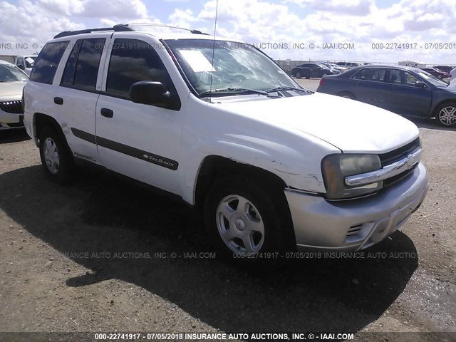 1GNDS13S232338501 - 2003 CHEVROLET TRAILBLAZER  WHITE photo 6