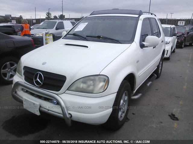 4JGAB54E2XA081455 - 1999 MERCEDES-BENZ ML 320 WHITE photo 2