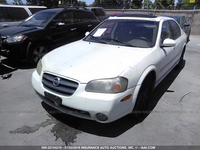 JN1DA31A42T301298 - 2002 NISSAN MAXIMA GLE/SE WHITE photo 2