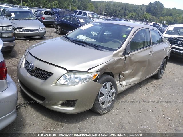 2T1BU4EE3AC489347 - 2010 TOYOTA COROLLA S/LE/XLE GOLD photo 2