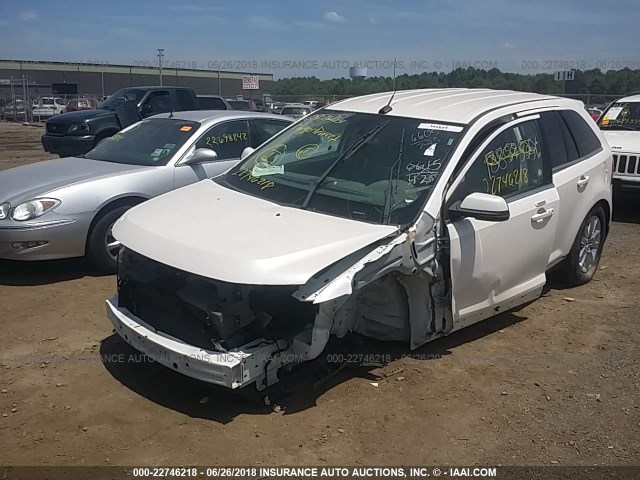 2FMDK4KC0CBA05658 - 2012 FORD EDGE LIMITED WHITE photo 2