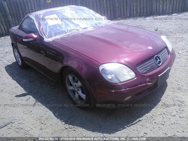 WDBKK65FX1F198067 - 2001 MERCEDES-BENZ SLK 320 RED photo 1