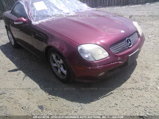 WDBKK65FX1F198067 - 2001 MERCEDES-BENZ SLK 320 RED photo 6