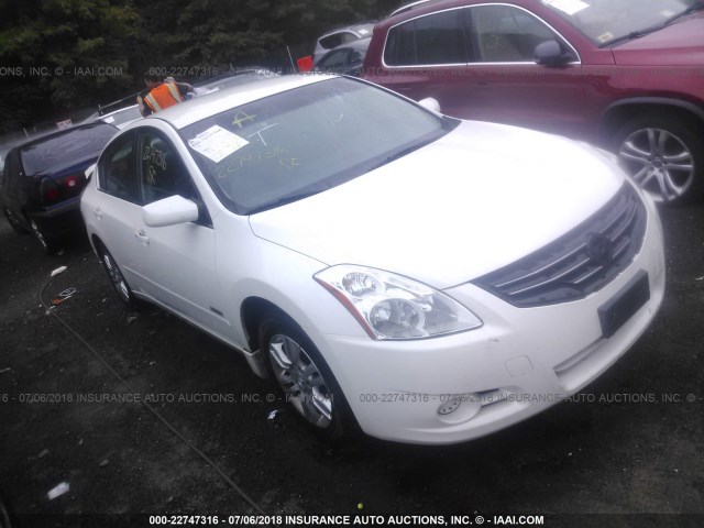 1N4CL2AP6BC114183 - 2011 NISSAN ALTIMA HYBRID WHITE photo 1