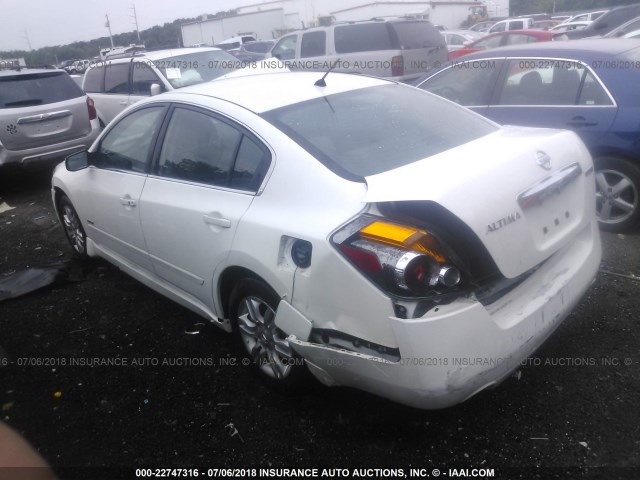 1N4CL2AP6BC114183 - 2011 NISSAN ALTIMA HYBRID WHITE photo 3