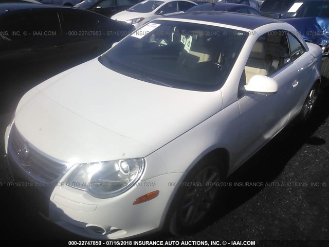 WVWFA71F98V052986 - 2008 VOLKSWAGEN EOS LUX Biały zdjęcie 2