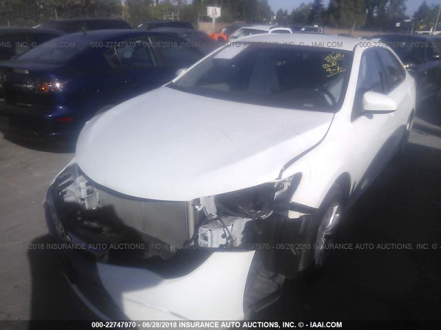 4T1BF1FK9FU990066 - 2015 TOYOTA CAMRY LE/XLE/SE/XSE WHITE photo 2